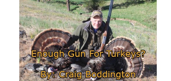 Image for news headline - Blog ENOUGH GUN FOR TURKEYS? By Craig Boddington